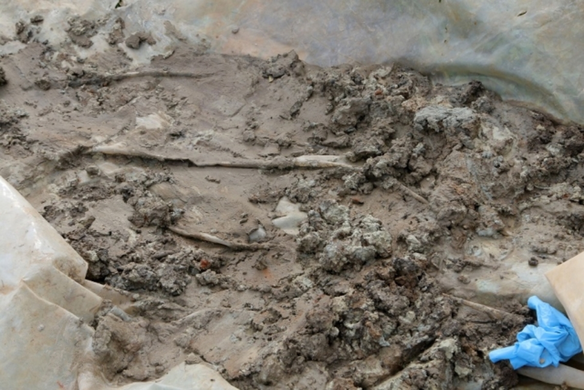 Ηράκλειο: “Θρίλερ” με οστά που βρέθηκαν στον Κρουσώνα- Τι ερευνούν οι Αρχές