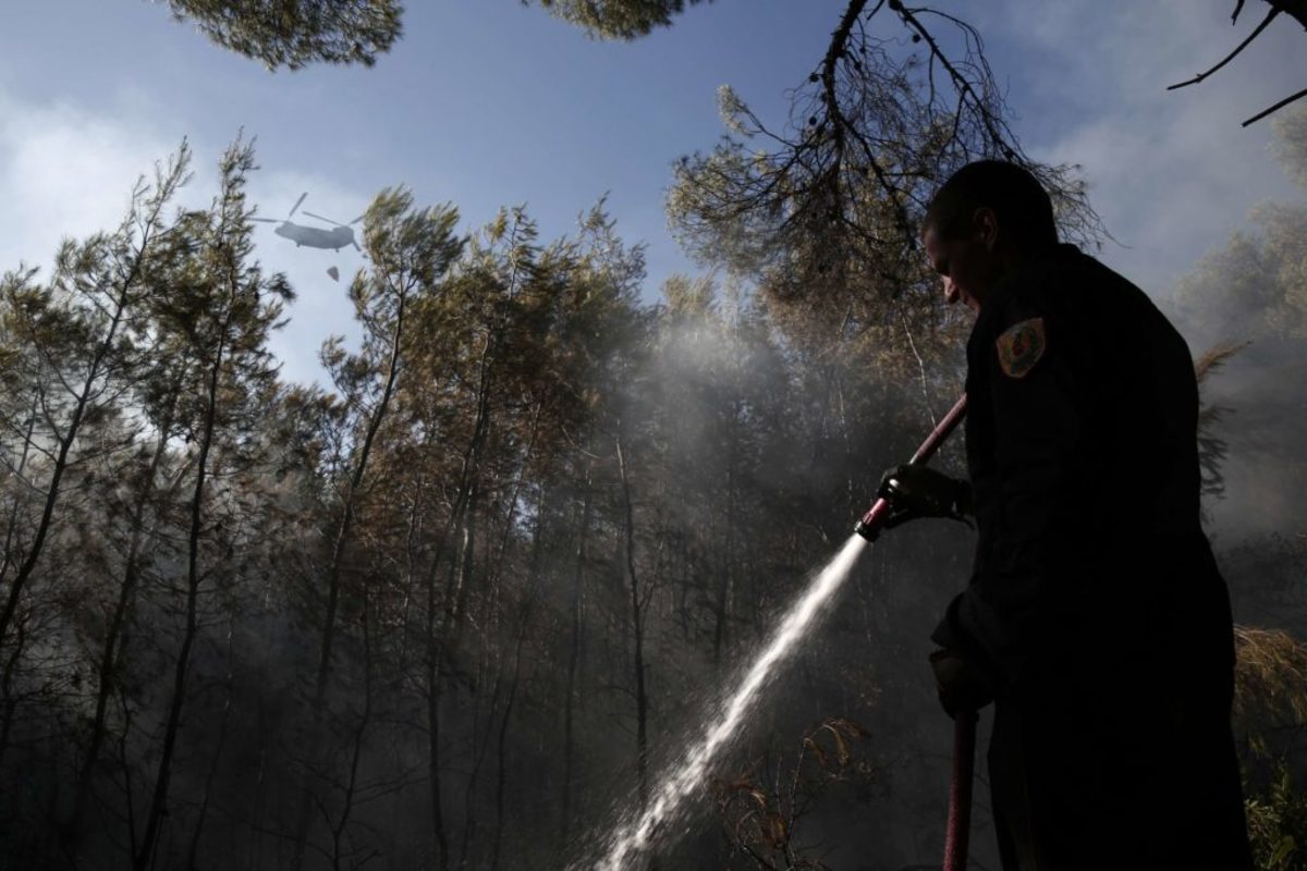 Νέα φωτιά στην Εύβοια – Ισχυροί άνεμοι στην περιοχή