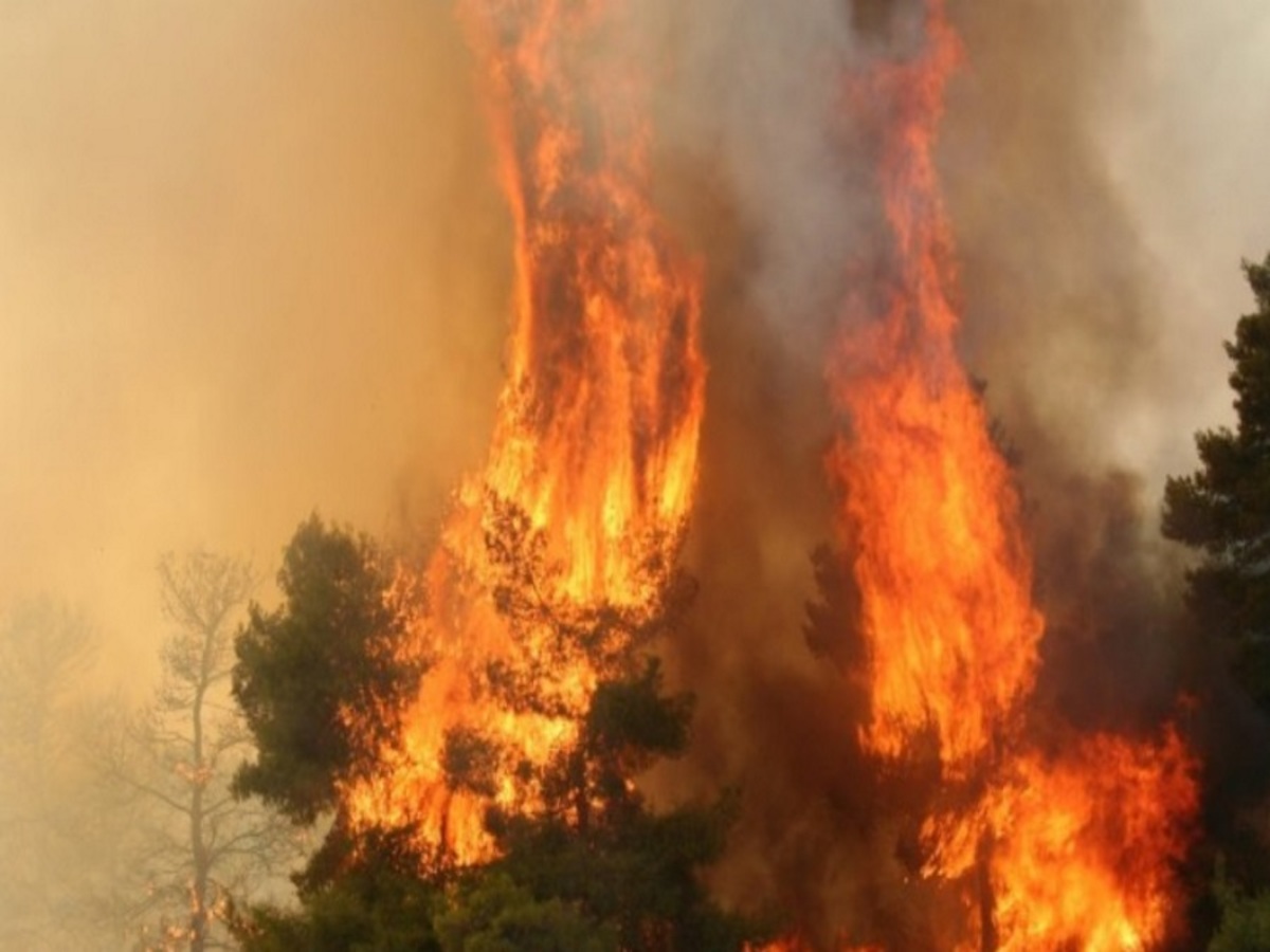 Υγειονομική διαχείριση της κρίσης από τις πυρκαγιές