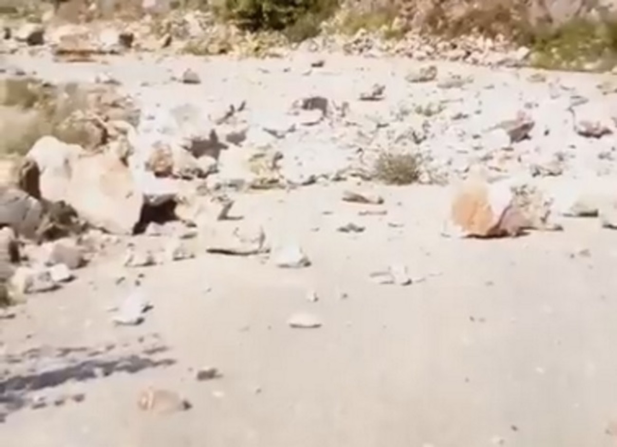 Σεισμός: Οι πρώτες εικόνες από τις κατολισθήσεις στην Καρδίτσα – Ρωγμές σε σπίτια και εγκλωβισμένοι οδηγοί – video
