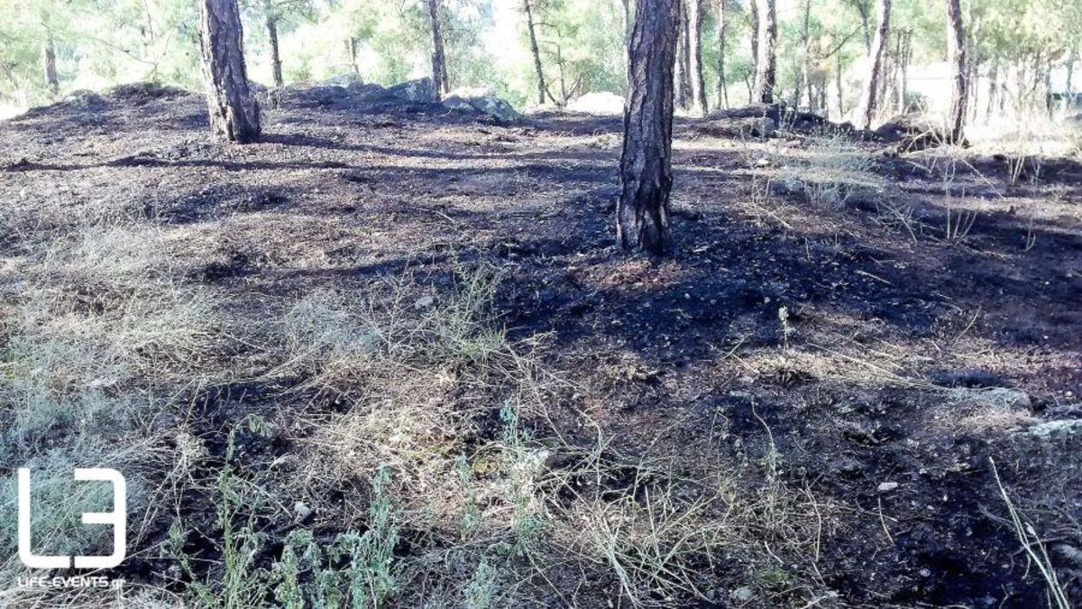 Φωτιά στο Σέιχ Σου: Κάμερες έχουν “πιάσει” υπόπτους