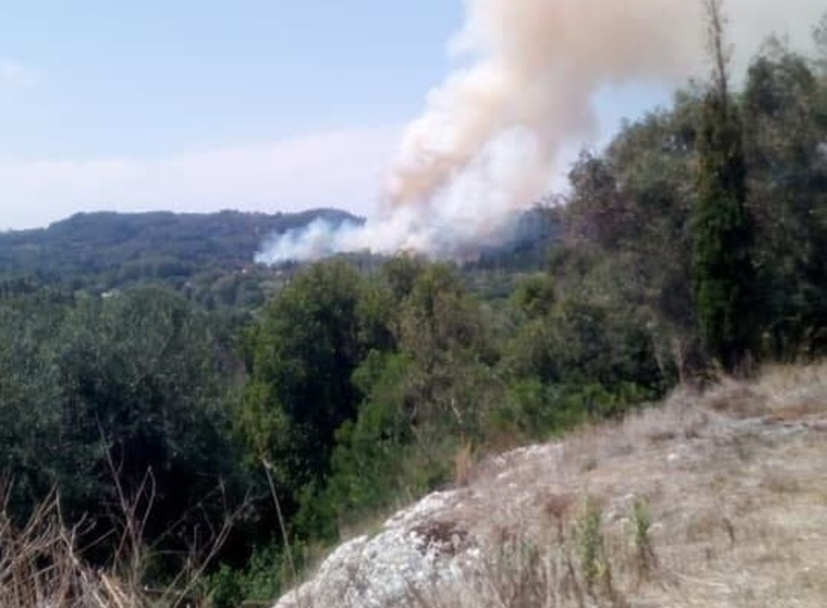 Μεγάλη φωτιά στην Κέρκυρα κοντά στο χωριό Ραχτάδες