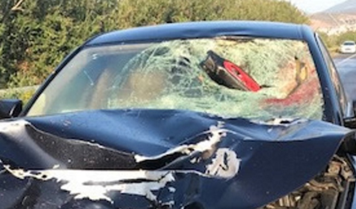 Φθιώτιδα: Σκληρές εικόνες σε φοβερό τροχαίο – Σκοτώθηκε ακαριαία νεαρός οδηγός μηχανής [pics]