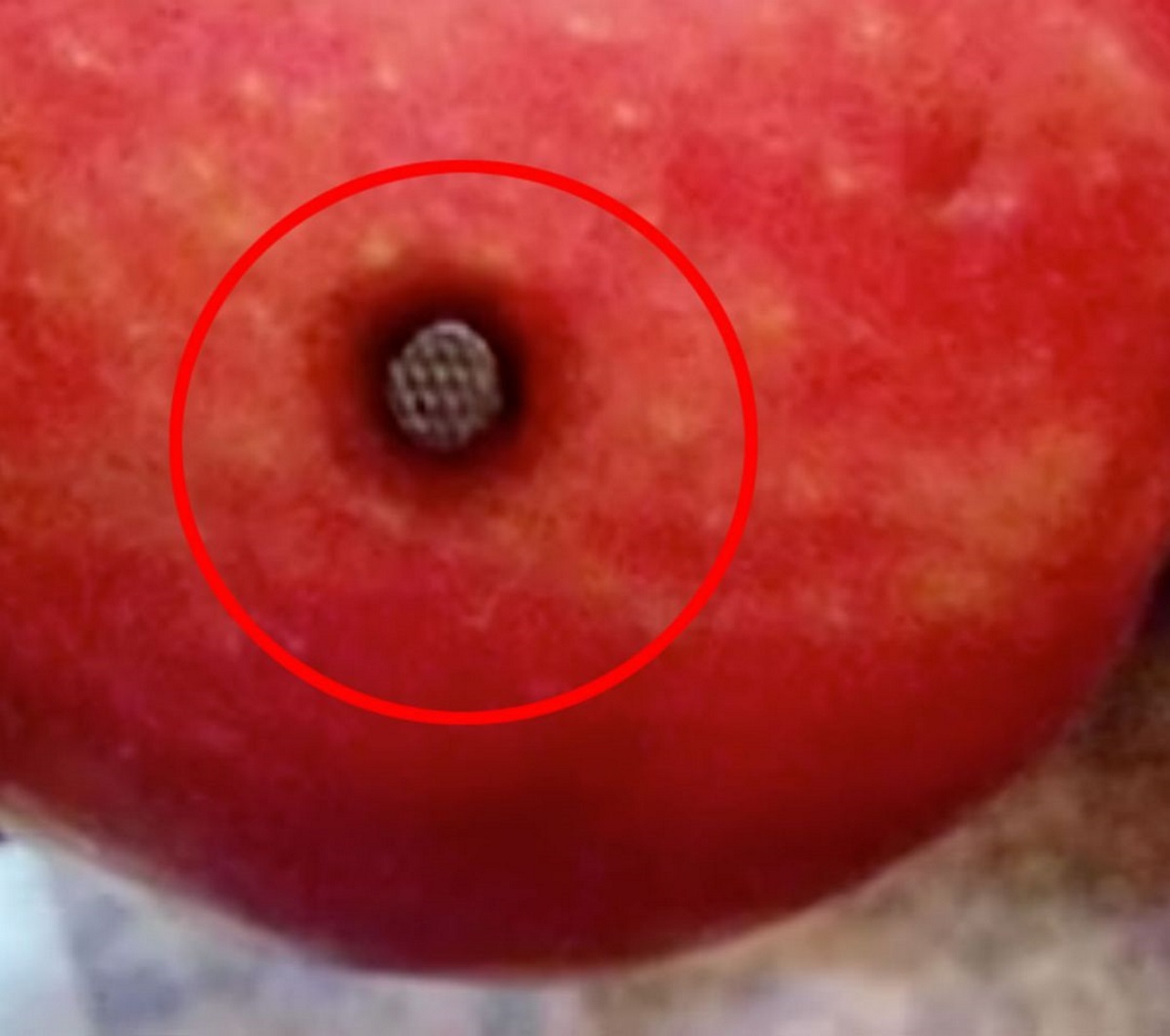 Μητέρα βρήκε καρφί μέσα σε μήλο λίγο πριν το φάνε τα παιδιά της!