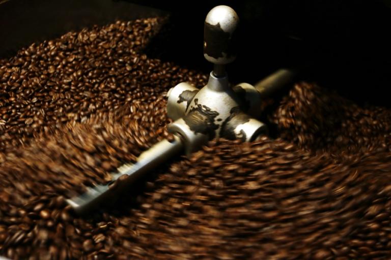 Ελ Σαλβαδόρ: Η χώρα στοιχηματίζει στον… καφέ πρώτης ποιότητας