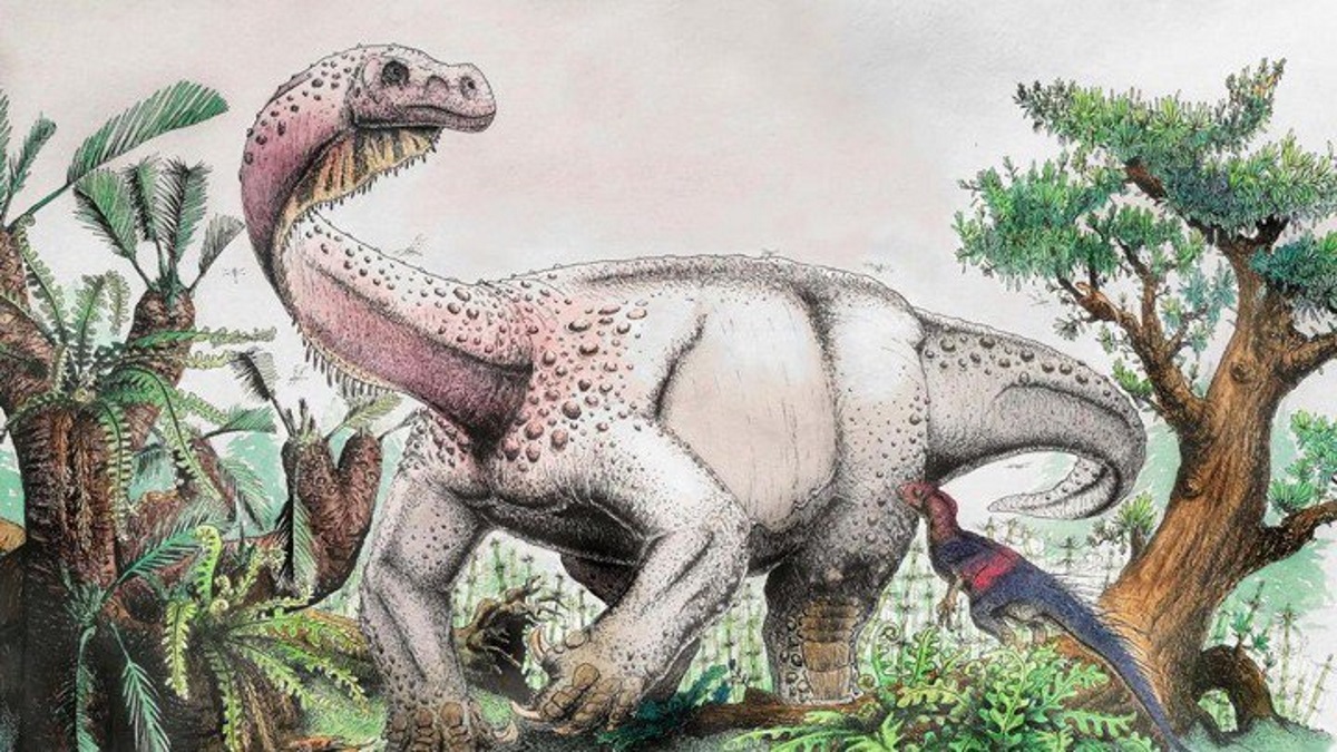 Γιγάντια Βροντή την Αυγή ονομάστηκε τεράστιος δεινόσαυρος που ανακαλύφθηκε στη Νότια Αφρική! – video