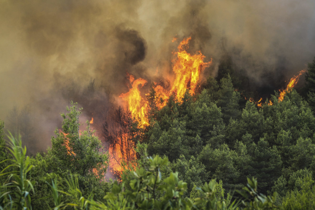 Ρόδος: Υπό έλεγχο η φωτιά στην Κυμισάλα