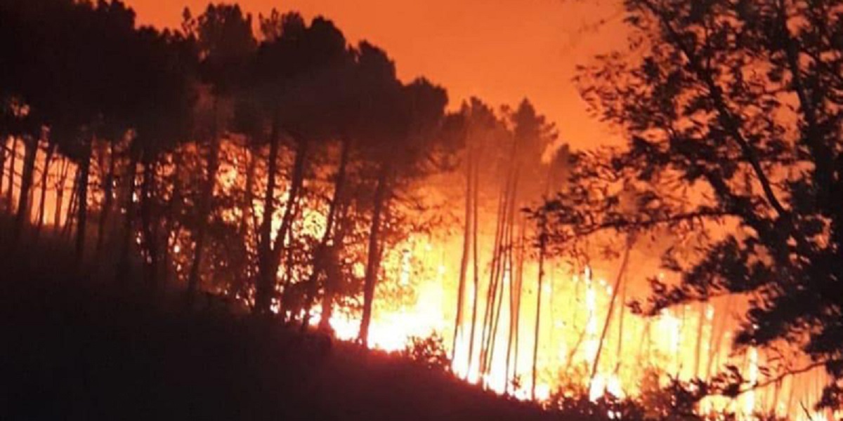 Ιταλία: Μεγάλη φωτιά στην Πίζα – Απομακρύνθηκαν 500 άνθρωποι