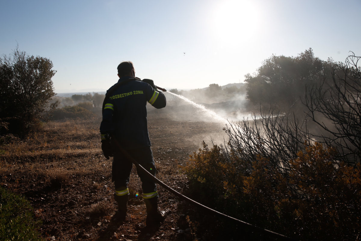 Φωτιά στον Μαραθώνα: Καλύτερη η εικόνα, δεν κινδυνεύουν σπίτια