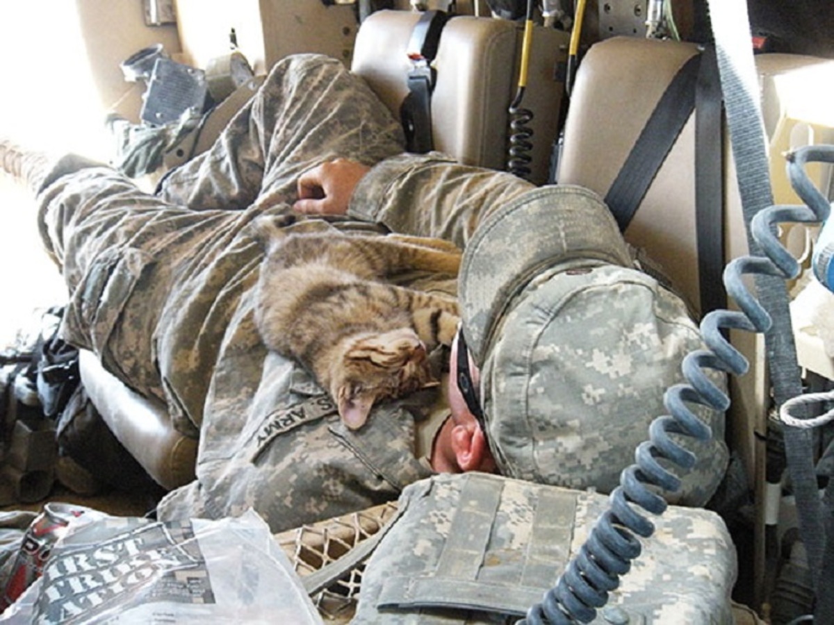 Αποκαλύφθηκε νέο στρατιωτικό μυστικό των ΗΠΑ! Ύπνος σε 120 δεύτερα! [pics]