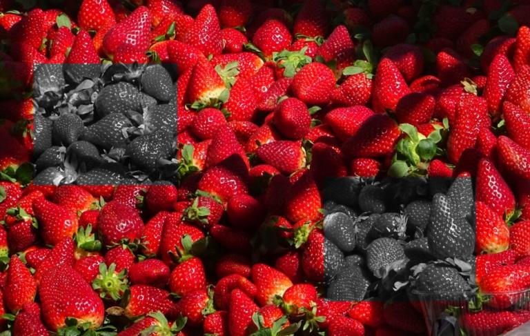 Αδίστακτοι! Έβαζαν βελόνες ραψίματος μέσα σε φράουλες που πωλούνται σε σούπερ-μάρκετ στην Αυστραλία!