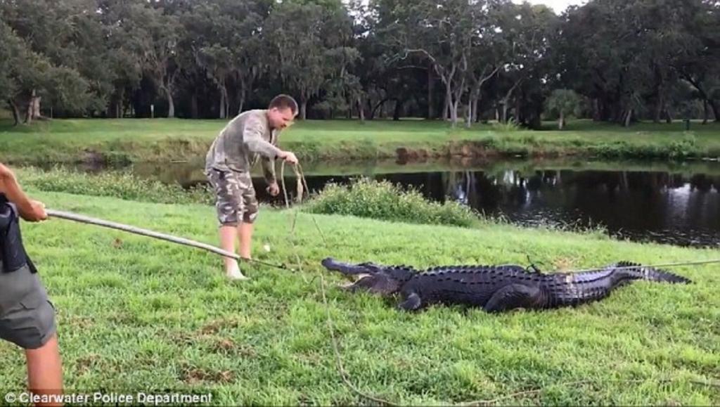 ΗΠΑ: Γλύτωσε από του… αλιγάτορα τα δόντια ενώ έπαιζε γκολφ