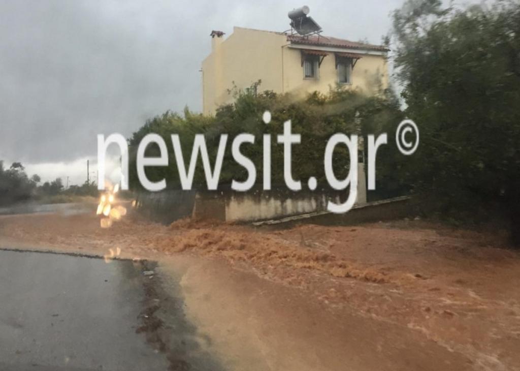 Αργολίδα: Σαρωτικές πλημμύρες στο Άργος – Χείμαρροι παρασύρουν αυτοκίνητα και μπαίνουν σε σπίτια – Εικόνες που κόβουν την ανάσα [pics, video]