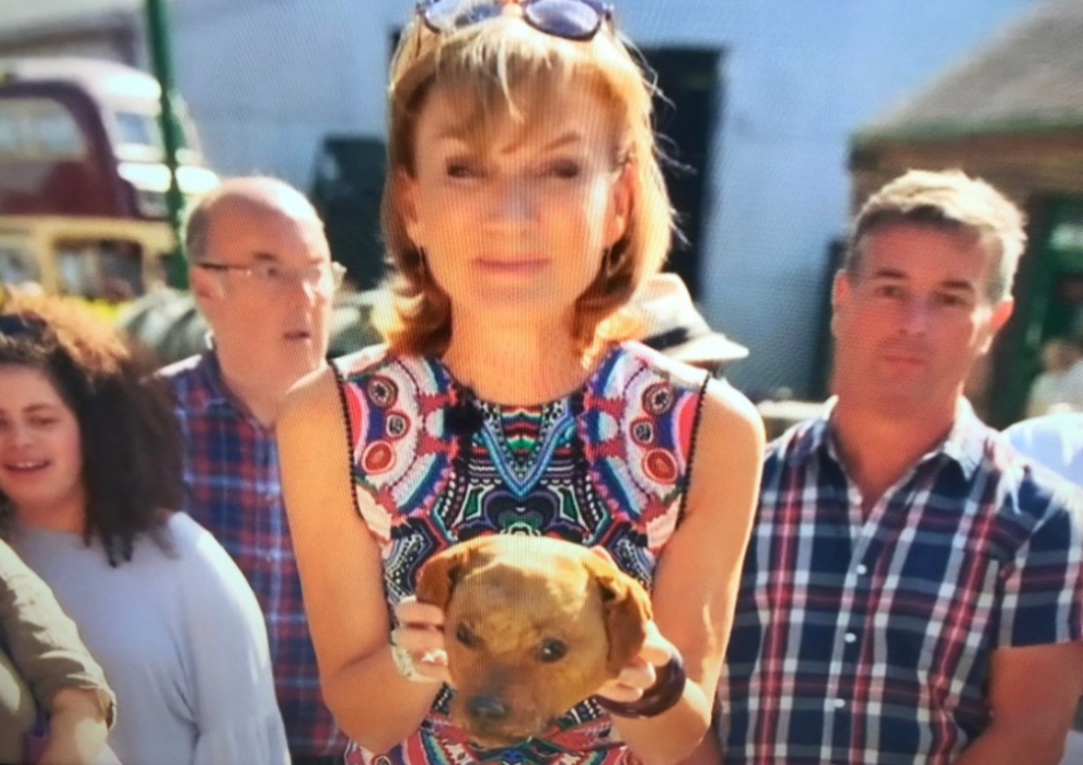 Έδειξαν κεφάλι σκύλου «στον αέρα»! «Πάγωσαν» οι Άγγλοι τηλεθεατές – video