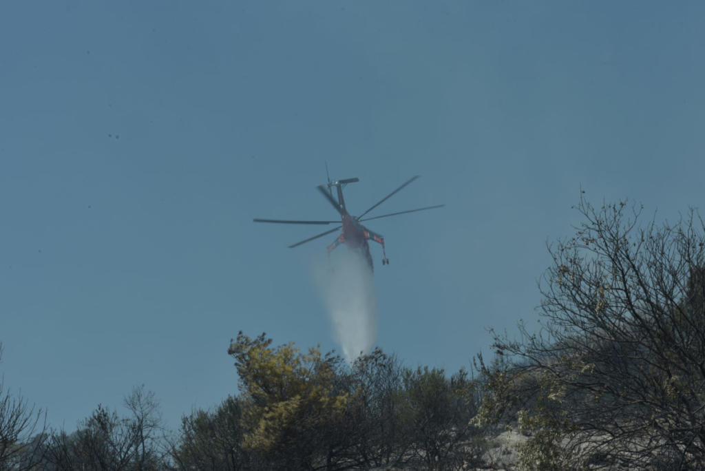 Συναγερμός στην Αχαΐα για φωτιά κοντά στο δάσος της Στροφυλιάς!