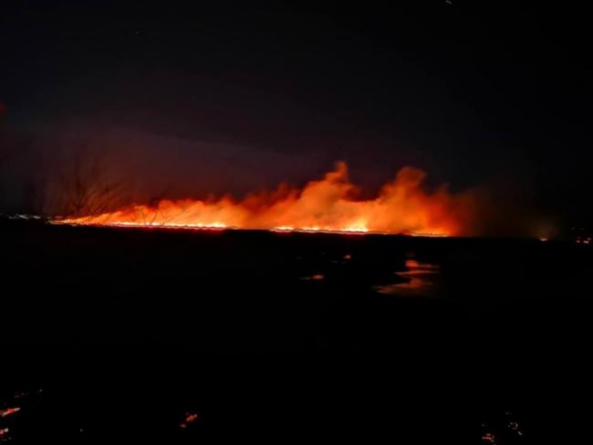 Φωτιά στην Πάτρα, κοντά στη λίμνη του Πρόκοπου