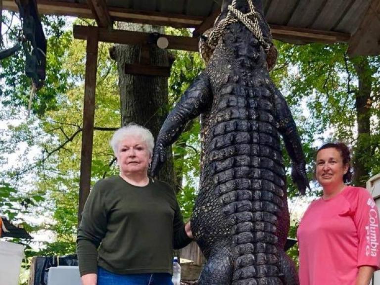 Σούπερ γιαγιά σκότωσε γιγαντιαίο αλιγάτορα γιατί της έφαγε ένα Πόνι!