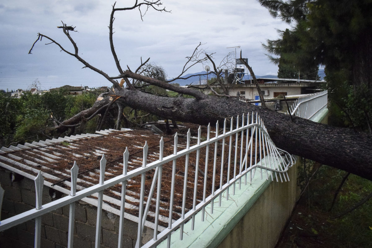 Μεσογειακός κυκλώνας: Αγνοούμενοι στην Εύβοια – Γυναίκα βρέθηκε πάνω σε δέντρο – Νέες εικόνες απόλυτης καταστροφής!