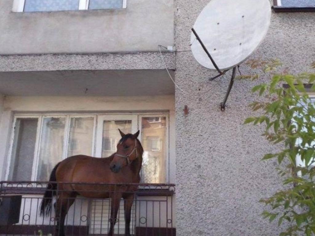 Καιρός: “Θυελλώδης”… Ξενοφών σαρώνει το Twitter!