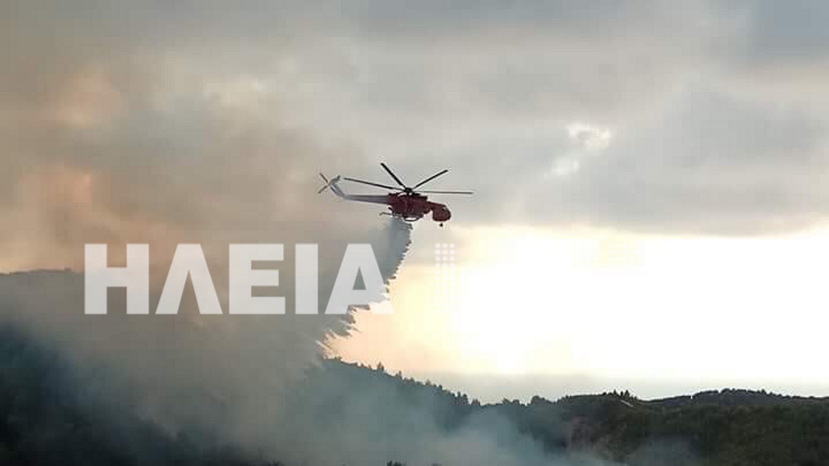 Υπό μερικό έλεγχο η φωτιά στην περιοχή Ρεβελέικα της Ηλείας