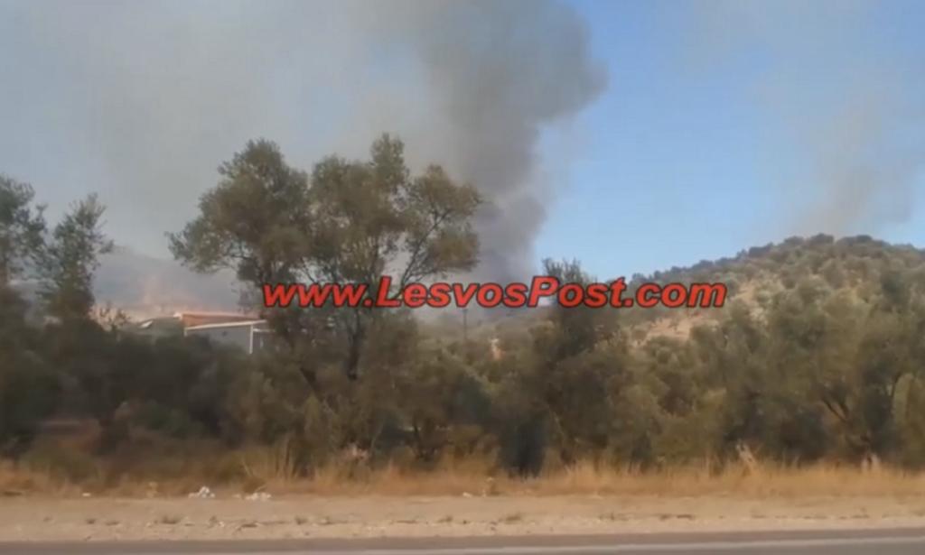 Μάχη με τις φλόγες σε απόσταση αναπνοής από το κέντρο μεταναστών στη Μόρια! video