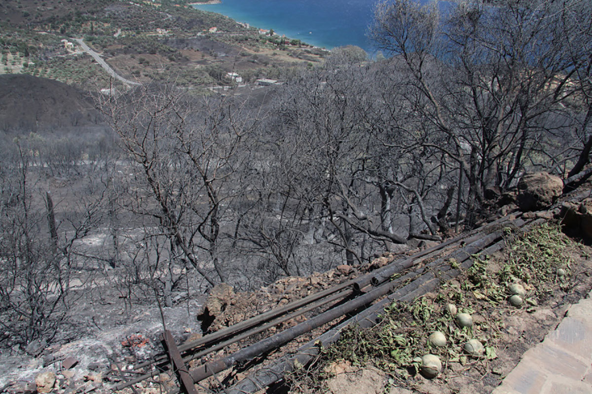 Έθεσαν υπό έλεγχο τη φωτιά στη Μάνη – Σε επιφυλακή η Πυροσβεστική
