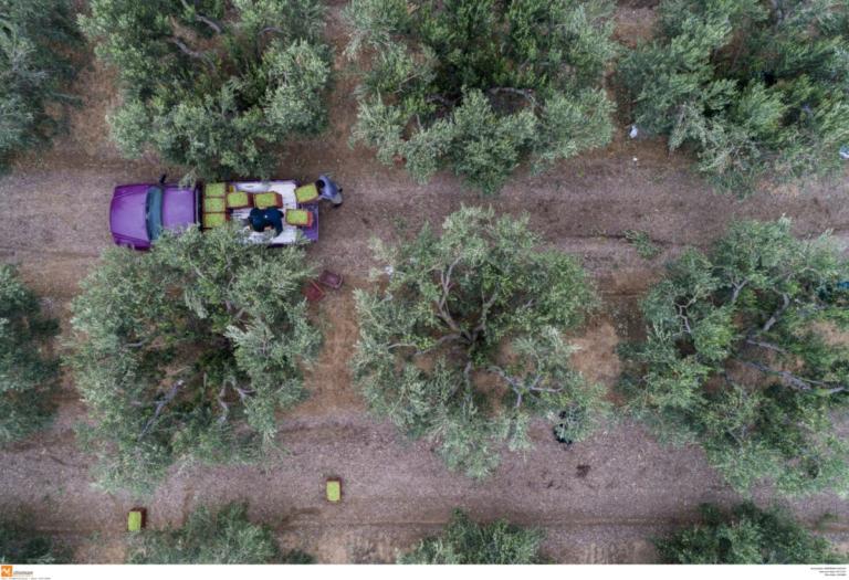 Χανιά: Τραγικός θάνατος αγρότη μέσα στο χωράφι του