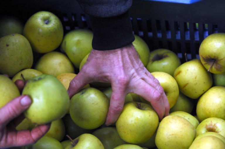 Πειραιάς: Εντοπίστηκαν αγνώστου ταυτότητας… μήλα και αχλάδια!