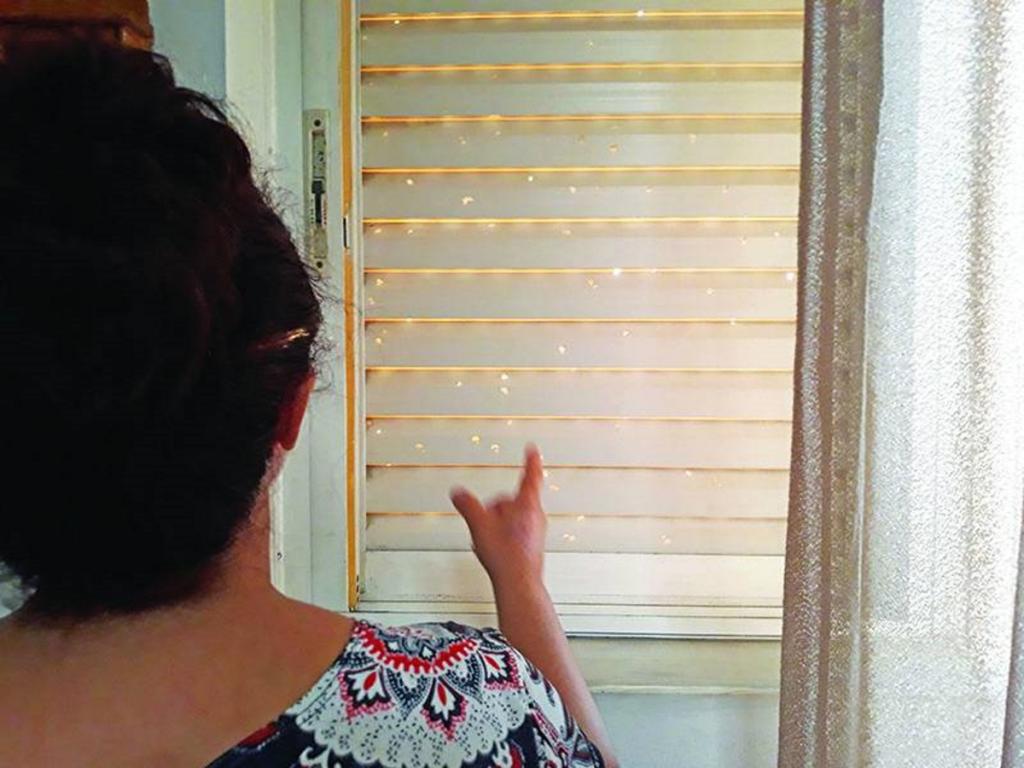 Μεσσηνία: Κοίταξε το παντζούρι του σπιτιού και είδε αυτές τις εικόνες – Εφιάλτης για μάνα και κόρη – video