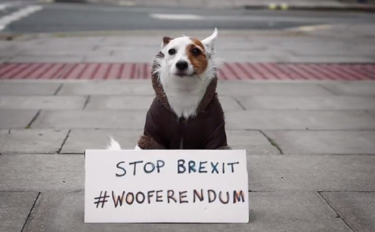 Οι σκύλοι διαδηλώνουν και… γαβγίζουν κατά του Brexit στο Λονδίνο! [video]