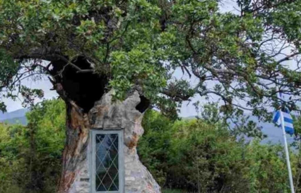 Εκκλησάκι του Αγίου Παΐσιου χτισμένο σε δέντρο 300 ετών!