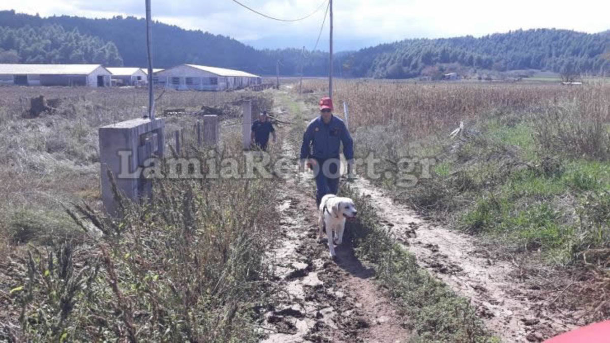 Εύβοια: Ψάχνουν παντού την αγνοούμενη από το Μαντούδι – ΕΜΑΚ και δύτες στις έρευνες [pics]