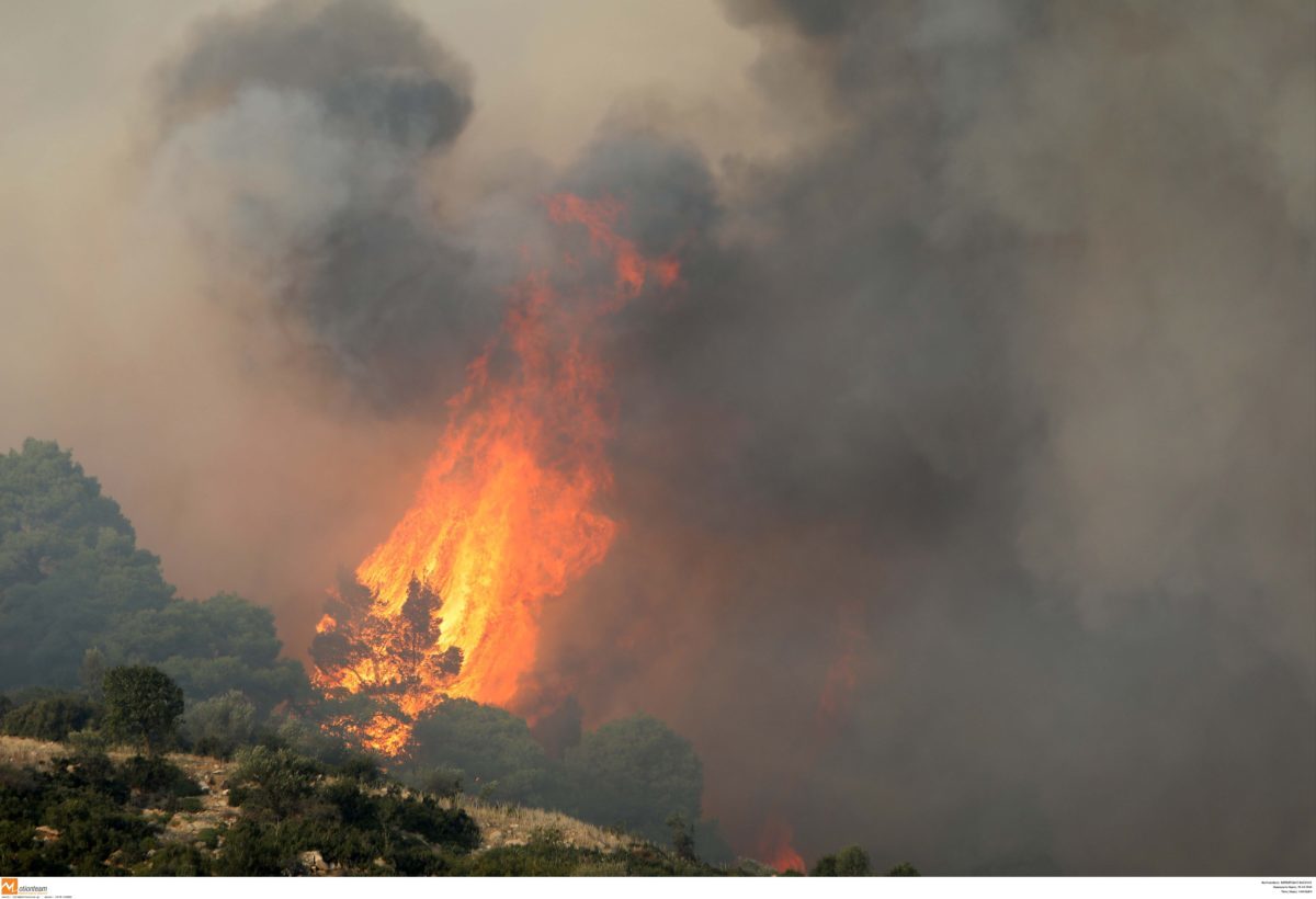 Χαλκιδική: Επτά χιλιάδες στρέμματα η καμμένη έκταση από την πυρκαγιά στη Σάρτη
