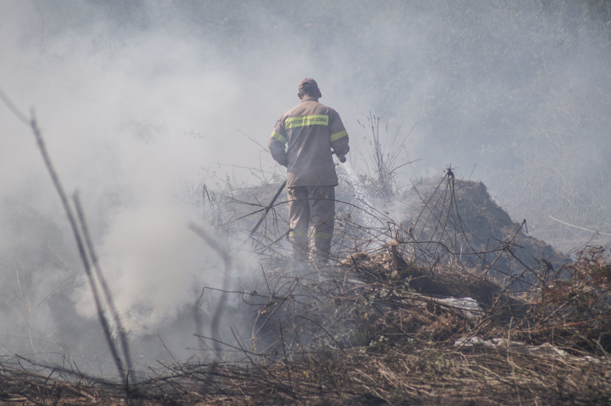 Κιλκίς: Σε εξέλιξη φωτιά σε δύσβατη περιοχή του χωριού Σκρα – Το στοιχείο που ανησυχεί τους πυροσβέστες!