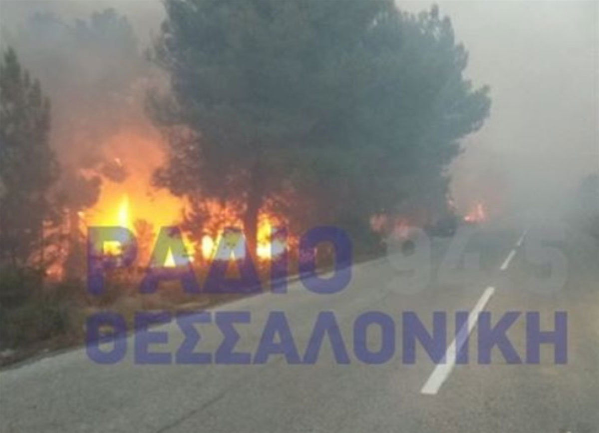 Συναγερμός στη Χαλκιδική: Ανεξέλεγκτη φωτιά στη Σιθωνία