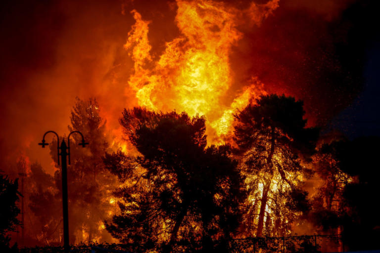 Ηλεία: “Διπλή” πυρκαγιά απειλή οικισμό! Μεγάλη κινητοποίηση της πυροσβεστικής