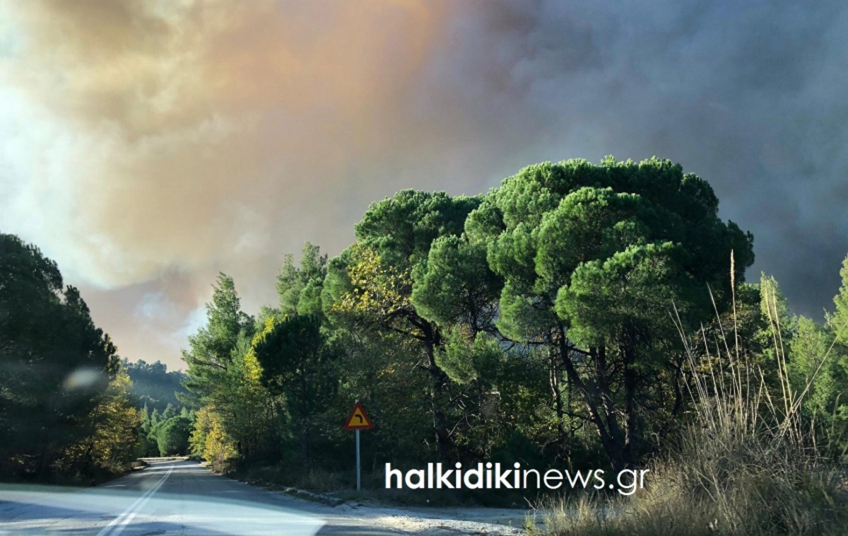 Στα τρία χιλιόμετρα έχουν απλωθεί οι φλόγες στη Σιθωνία! Δύσκολη μάχη με φωτιά και αέρα – video