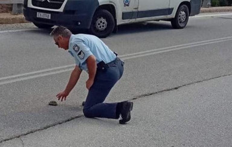 Καστοριά: Η εικόνα που έκανε αστυνομικό να σκύψει στη μέση του δρόμου – Οι φωτογραφίες που σαρώνουν το διαδίκτυο [pics]