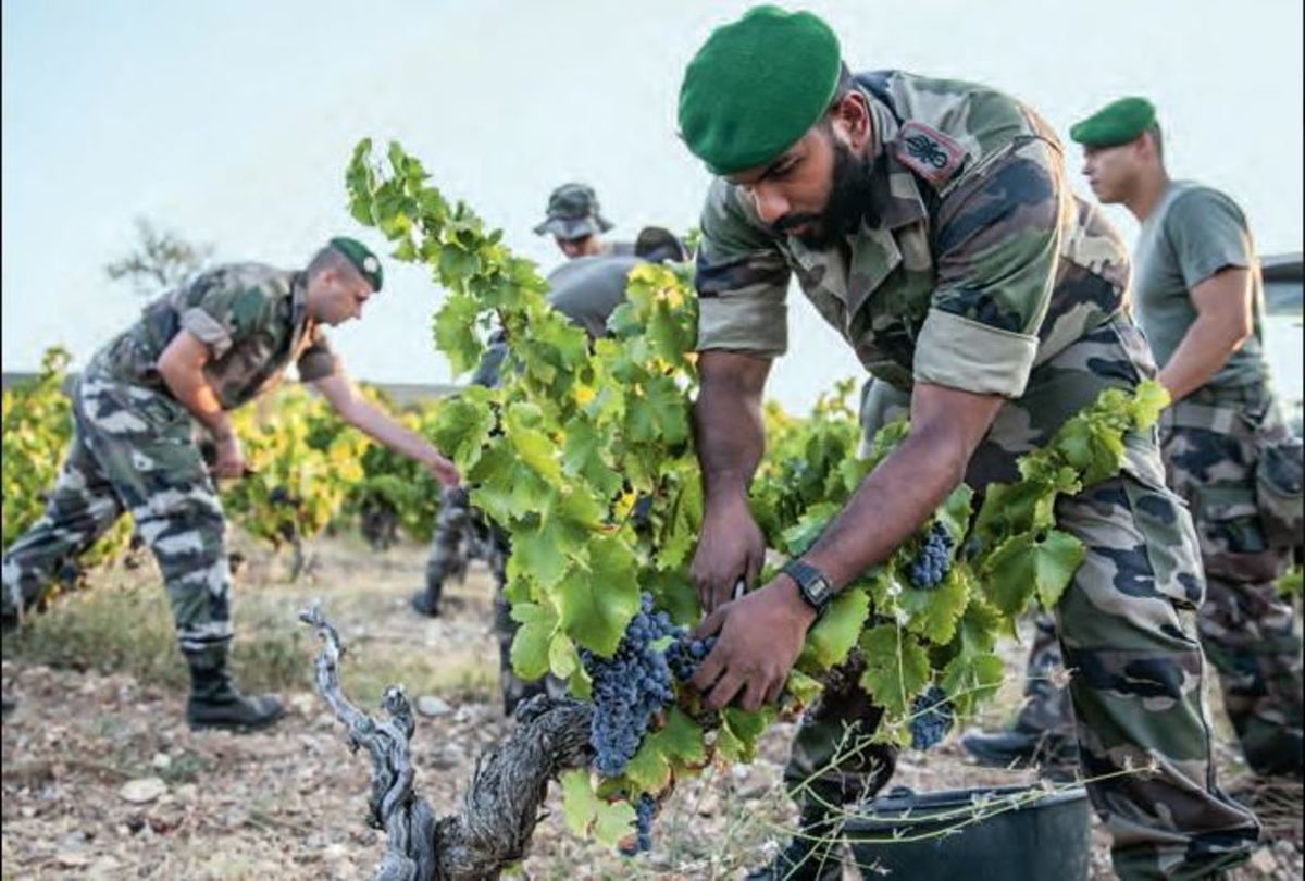 Η περίφημη Λεγεώνα των Ξένων στράφηκε στην οινοποιία για χάρη των βετεράνων της! [pic]