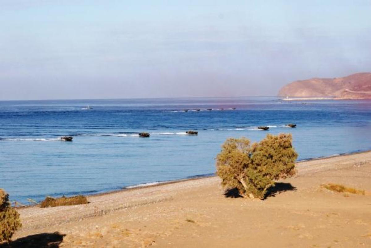 «Πρόβα πολέμου» στην Χίο – Οι Πεζοναύτες καταλαμβάνουν το νησί! [pics]