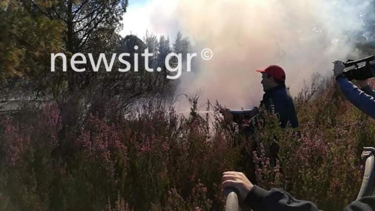 Φωτιά στη Χαλκιδική: Από τη θάλασσα θα φύγουν οι κάτοικοι αν γίνει εκκένωση - Ανεξέλεγκτη η μεγάλη πυρκαγιά!