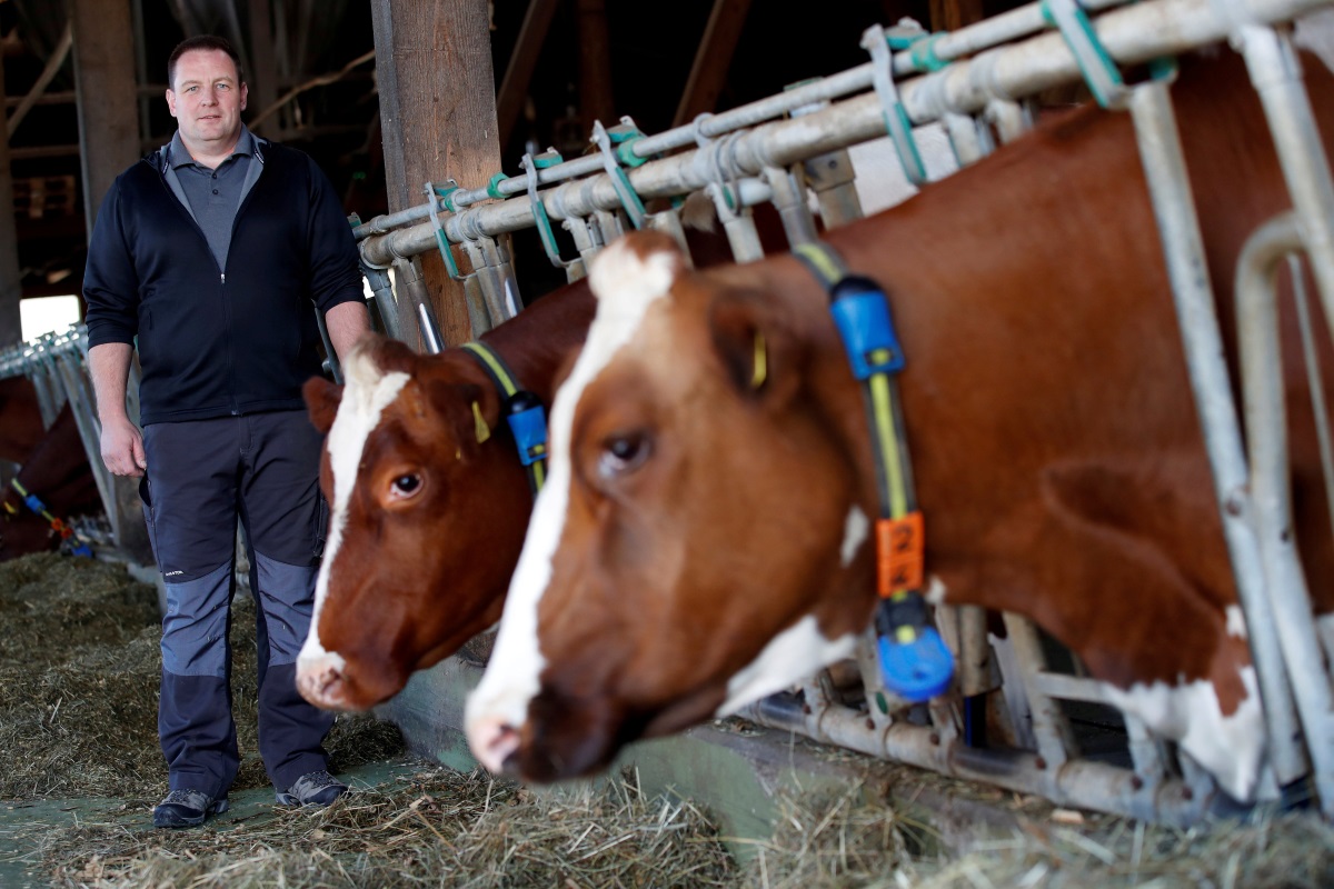Vegan ακτιβιστές μπούκαραν σε ταβέρνα και έκαναν ήχους αγελάδων μπροστά στα πιάτα με τις μπριζόλες! – Video