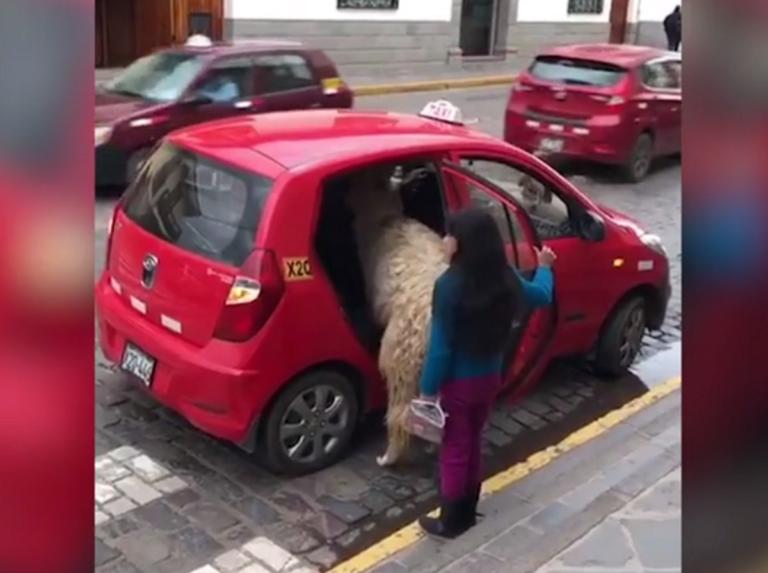 Ταξί: Αυτός είναι ο πιο παράξενος και σπάνιος πελάτης! – Video