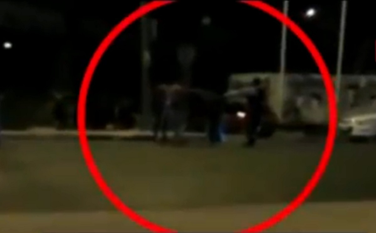 Βίντεο ντοκουμέντο: Οι αστυνομικοί δέχονται άγρια επίθεση στην Πειραιώς! Πυροβολισμοί και ξύλο!