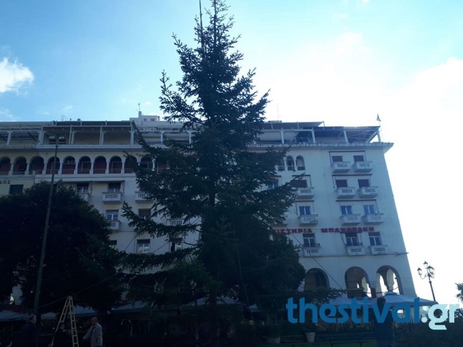 Θεσσαλονίκη: Αυτό είναι το χριστουγεννιάτικο δέντρο που στήθηκε στην πλατεία Αριστοτέλους [pics, video]