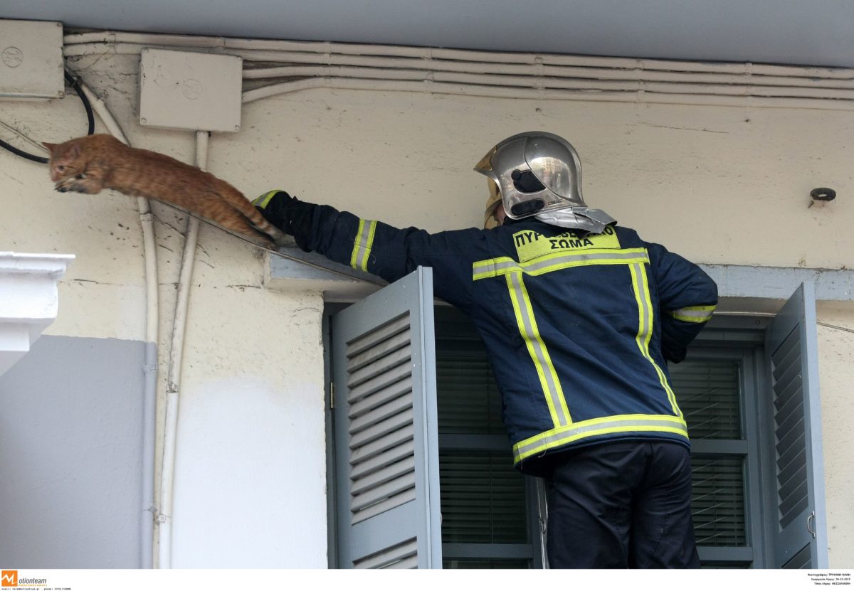 Θεσσαλονίκη: Η φωτιά στην κουζίνα του στοίχισε τη ζωή – Αποκρουστικές εικόνες στο φλεγόμενο διαμέρισμα!