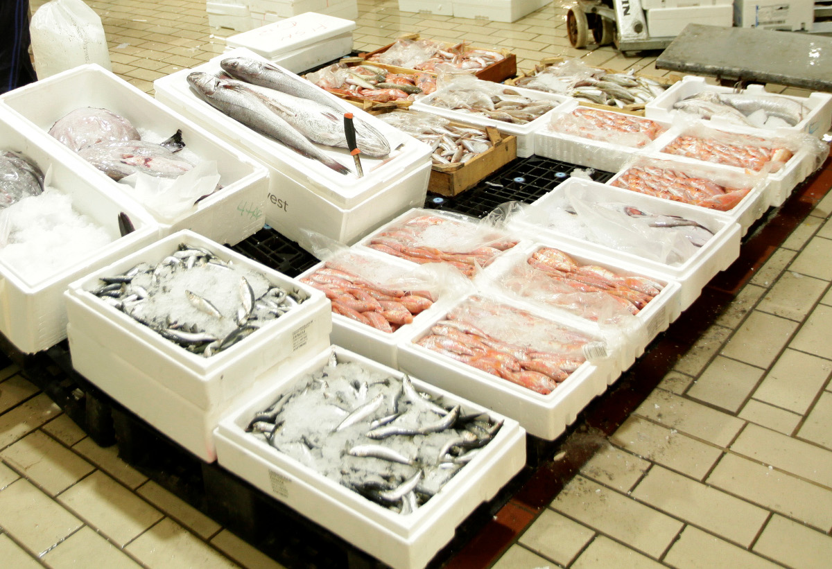 Κερατσίνι: Κιβώτια γεμάτα… κινδύνους για την υγεία στην ιχθυόσκαλα – Θα “γέμιζαν” την αγορά ακατάλληλα ψάρια
