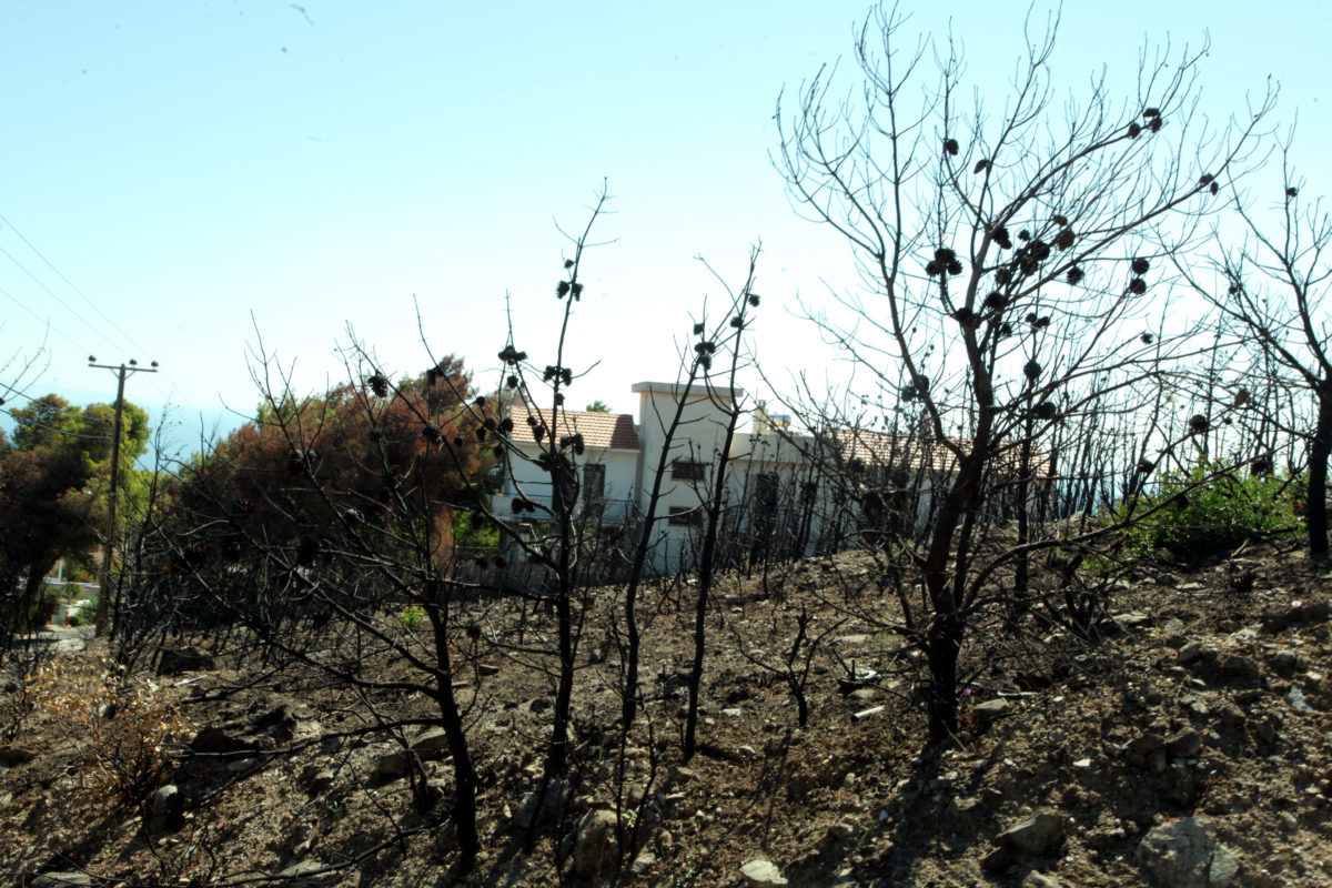 Στήριξη των πυρόπληκτων περιοχών με 1.000.000 από τον Μυτιληναίο