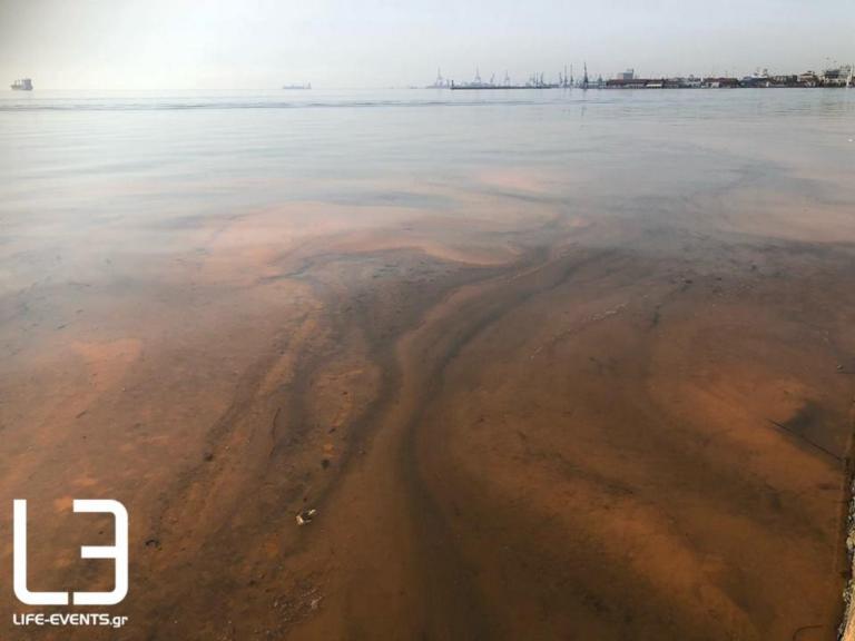 Θεσσαλονίκη: Η εξήγηση για το φαινόμενο της ερυθράς παλίρροιας στον Θερμαϊκό – “Θα εμφανιστεί ξανά” – video