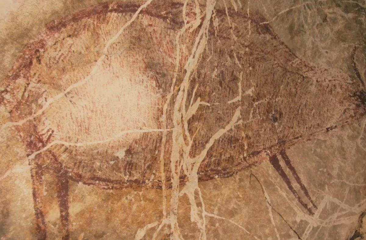 Δέος! Ανακάλυψαν την αρχαιότερη σπηλαιογραφία – Τουλάχιστον 40.000 ετών – video